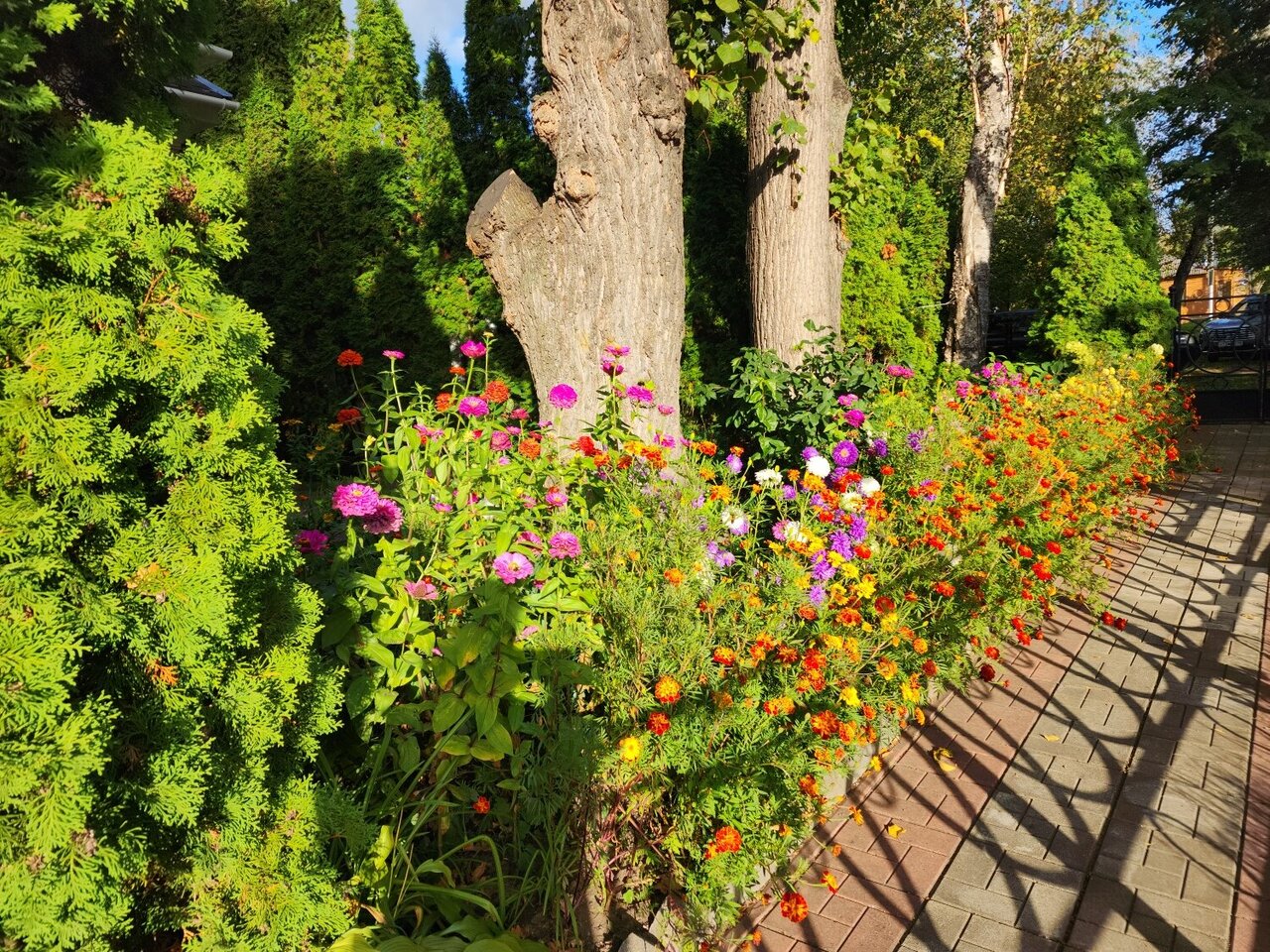 Гостиница Четыре короны Дмитров-8