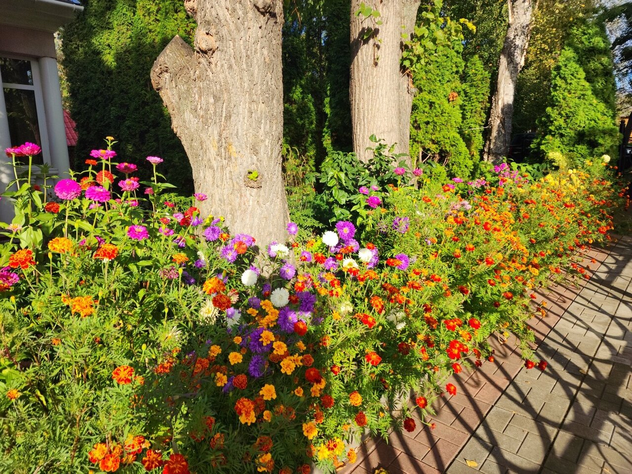 Гостиница Четыре короны Дмитров-26