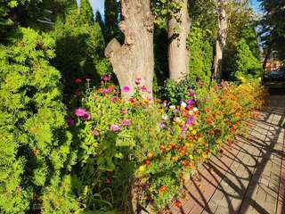 Гостиница Четыре короны Дмитров-4