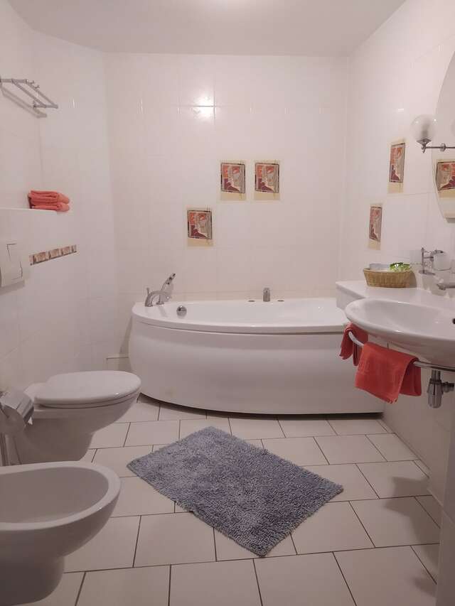 Гостиница Четыре короны Дмитров-98